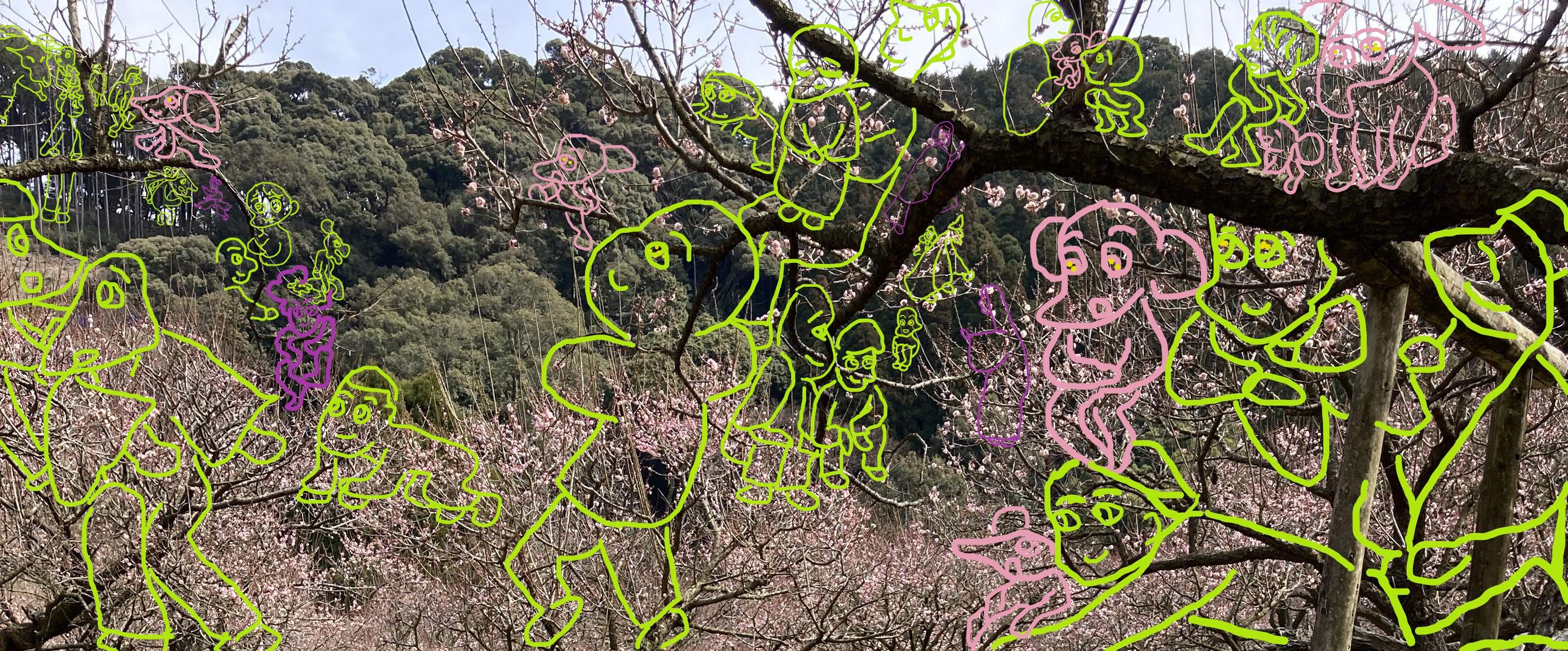 臥龍梅3a.jpg