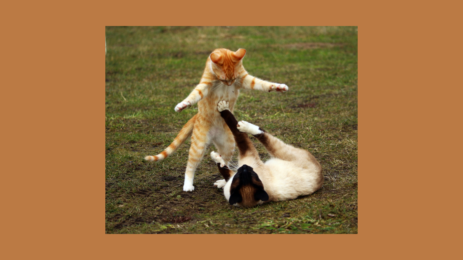 名称未設定のデザイン (40).png