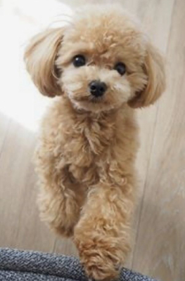 He can have anything🥰 (1).png