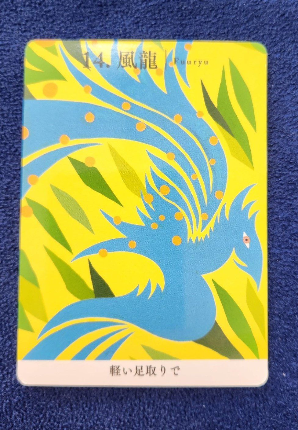 20231023_091218 (002).jpg