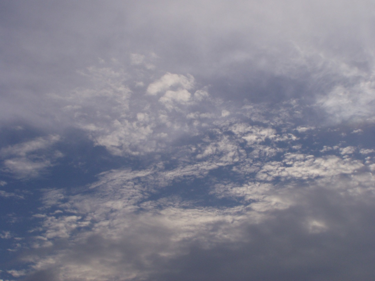 P1010055.JPG