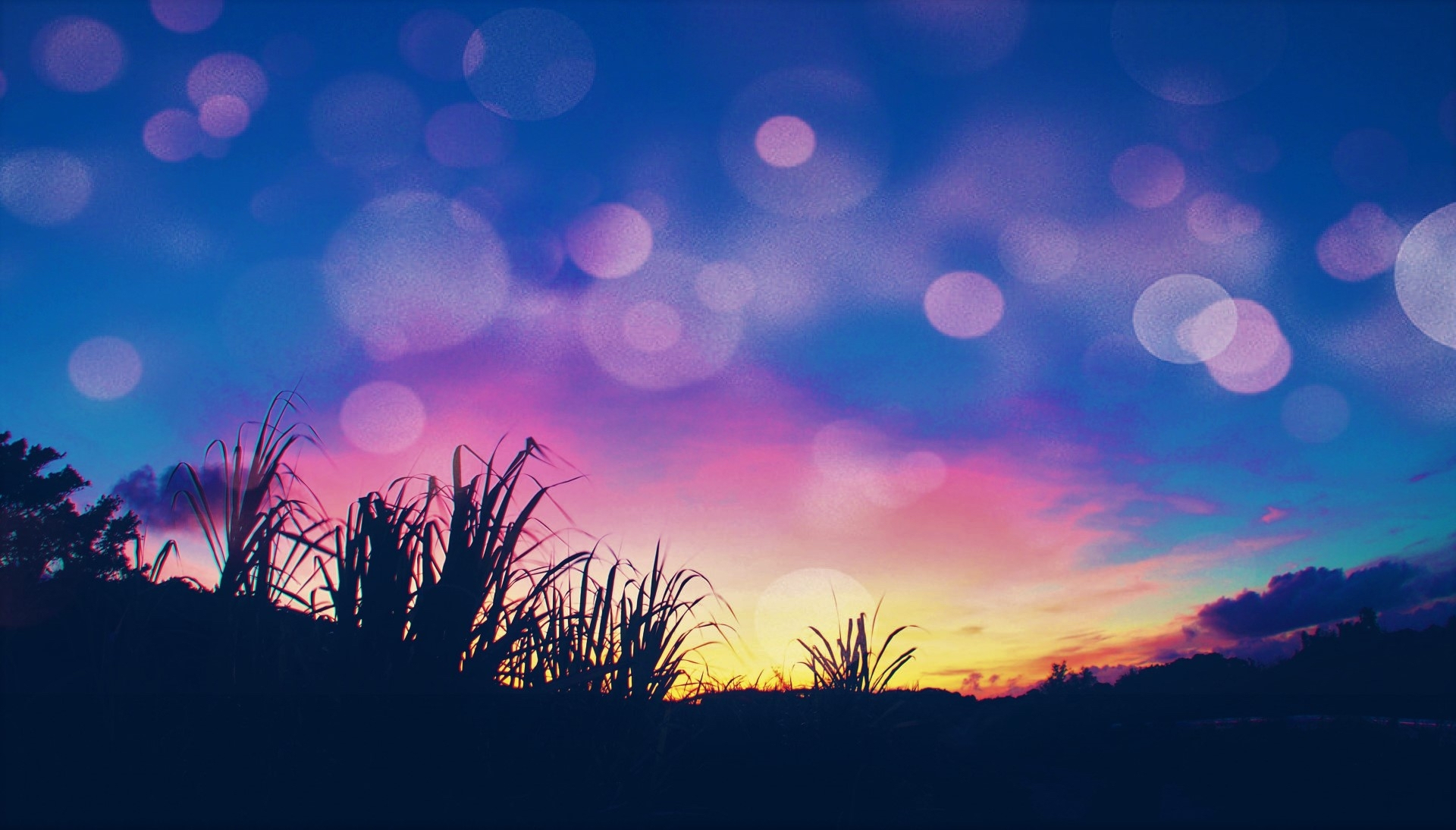 ABA82029-9B5C-4EDA-86BC-745E978CB93D.jpeg
