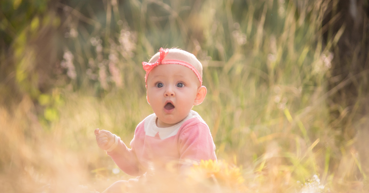 名称未設定のデザイン - 2026-03-12T164656.228.png