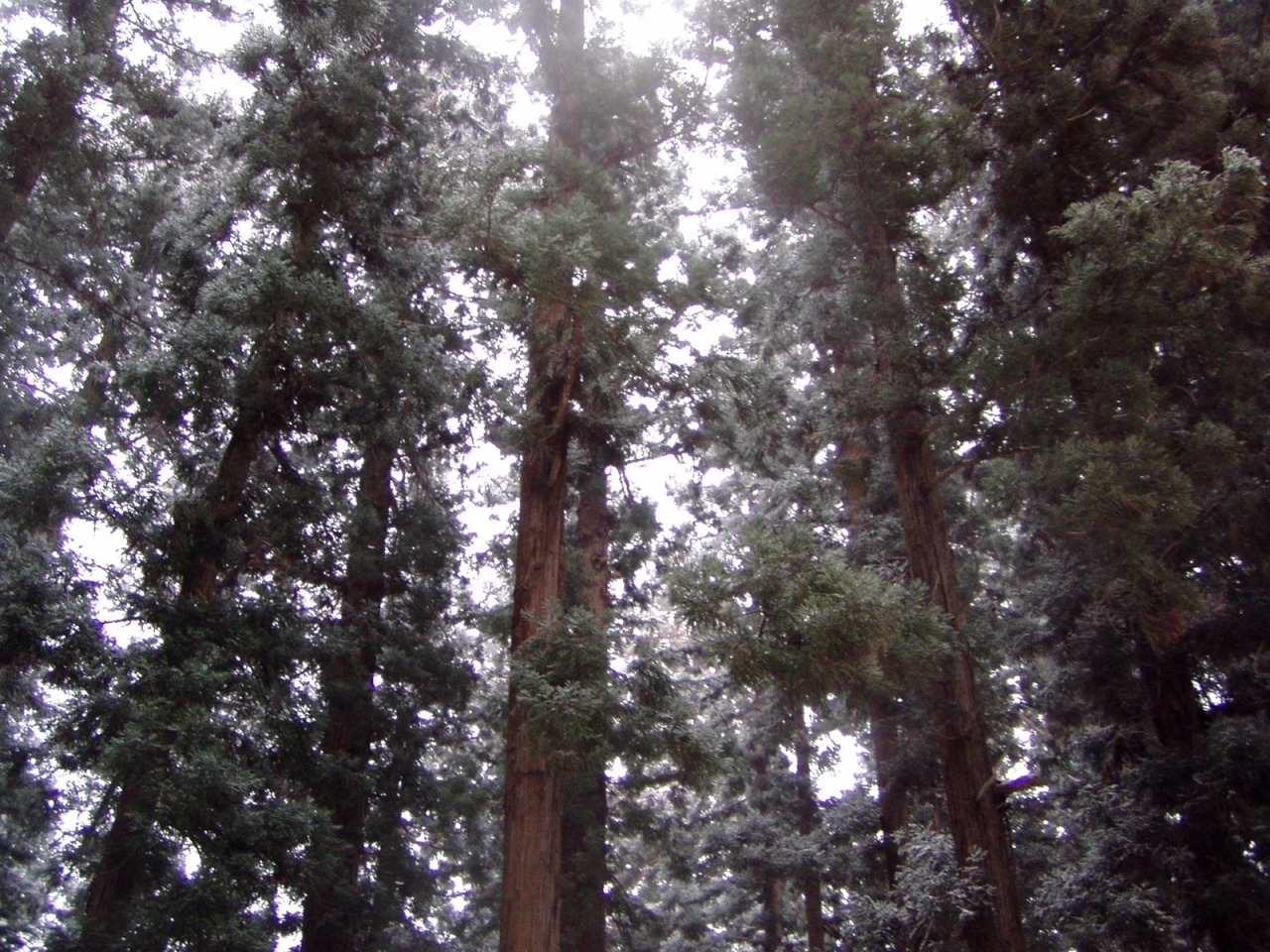 P1010006.JPG