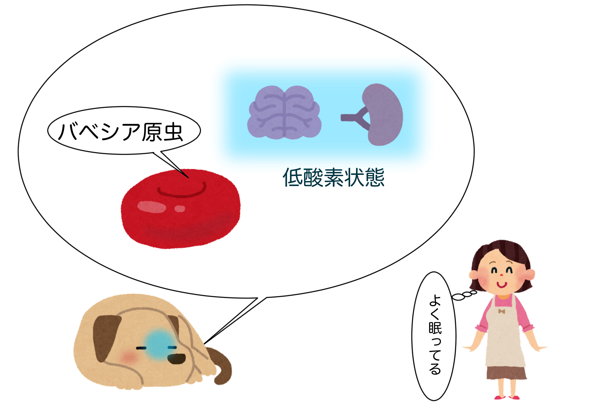 IMG_2080.png