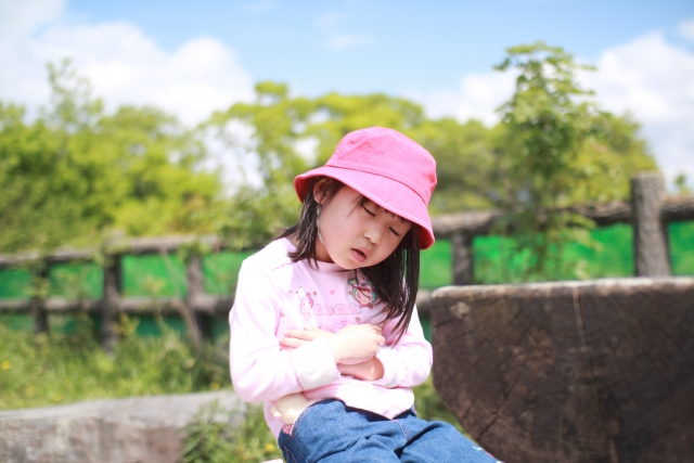 1267579_s.jpg