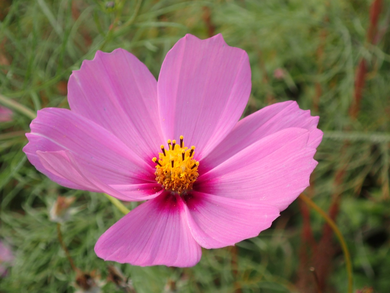 PB080075.JPG