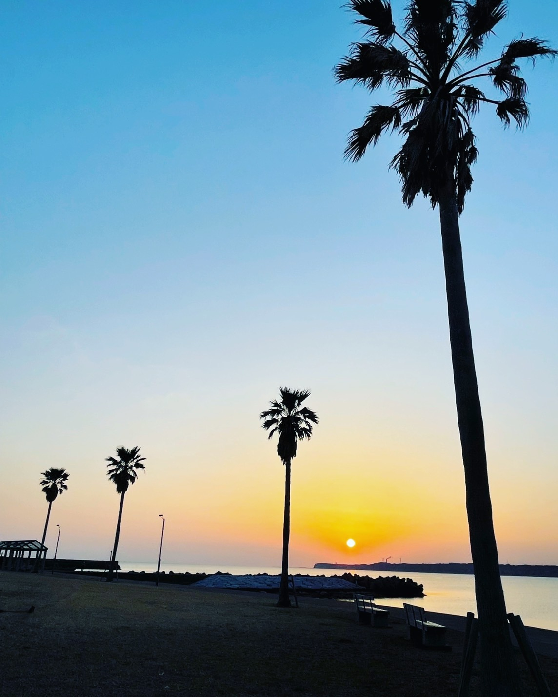 S__41213961.jpg