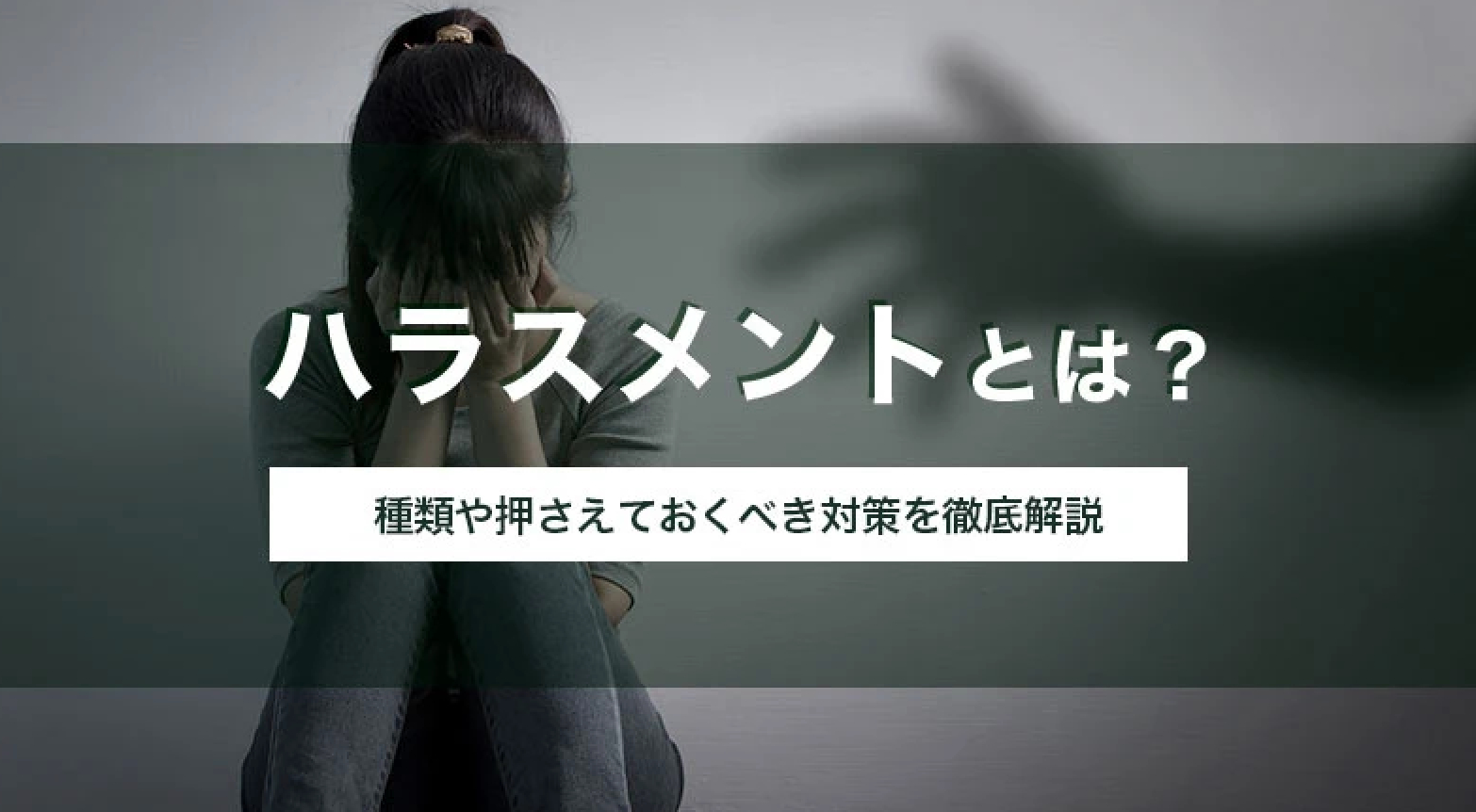 スクリーンショット 2024-08-17 10.34.33.png