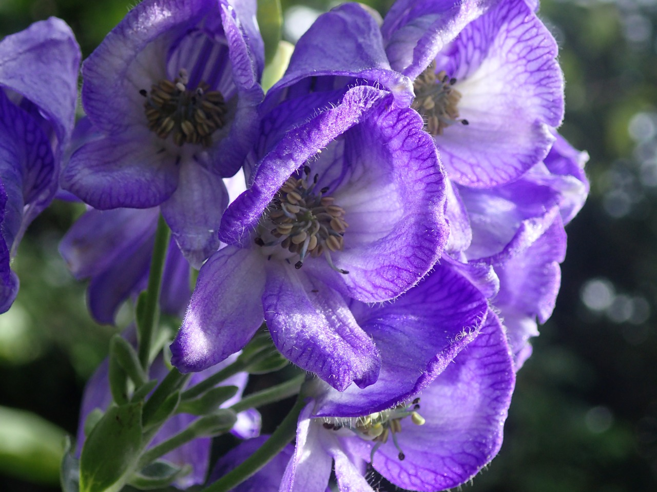 PB010370.JPG