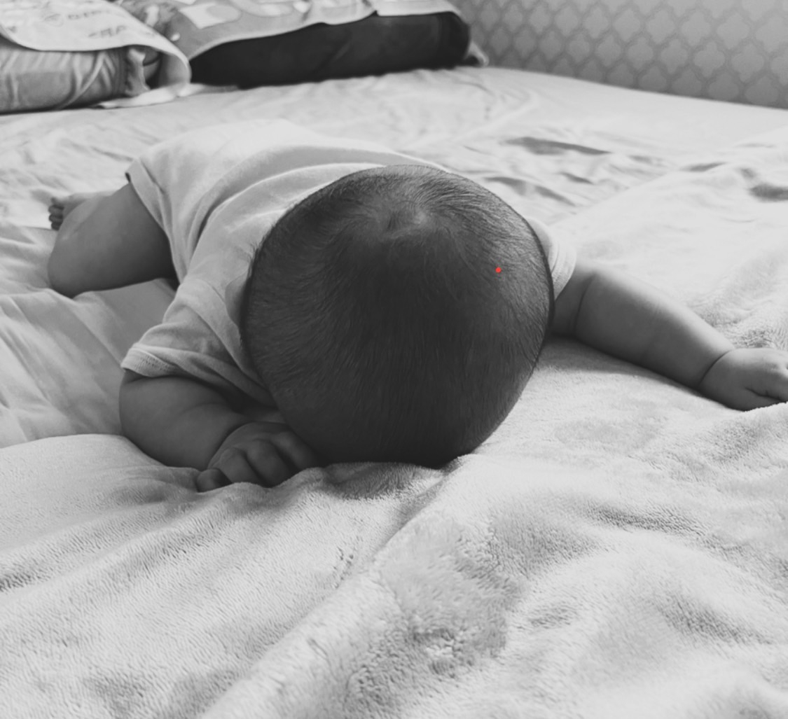 S__40796164.jpg