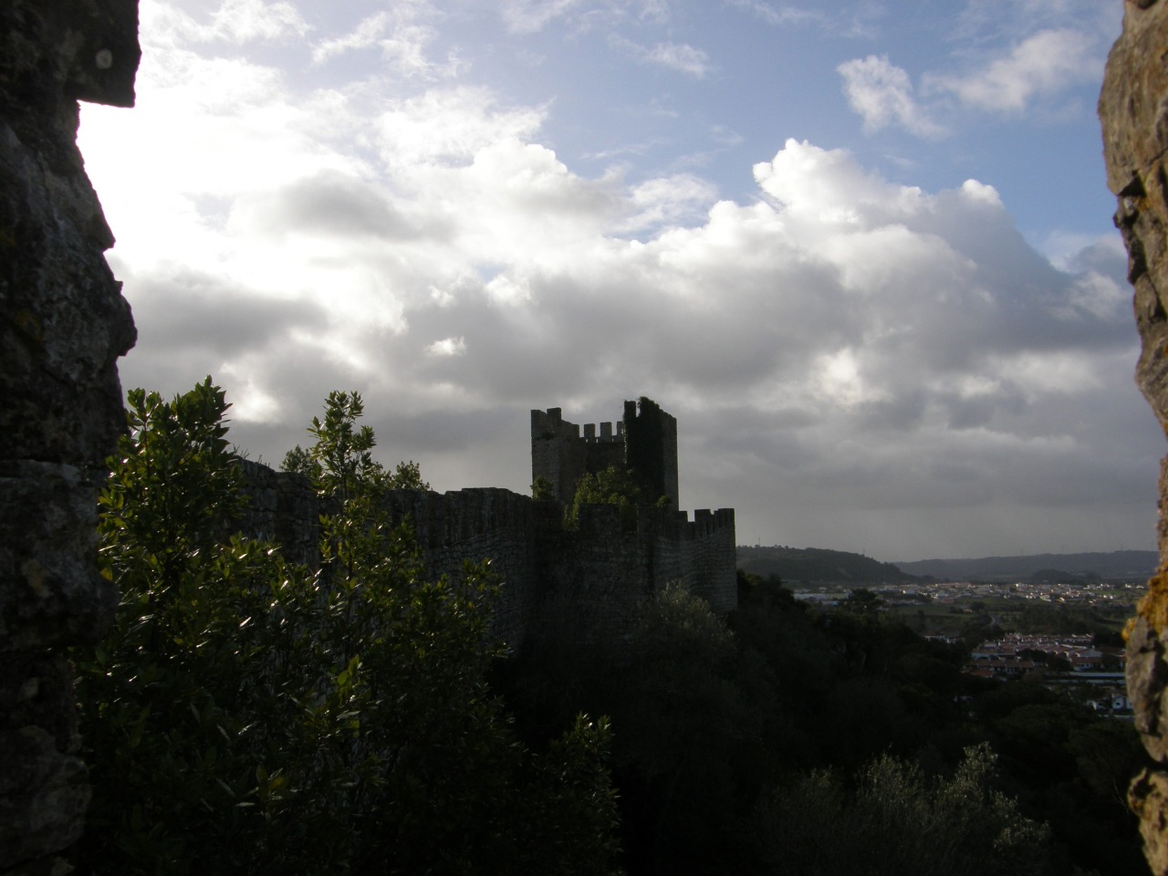P1261560.JPG