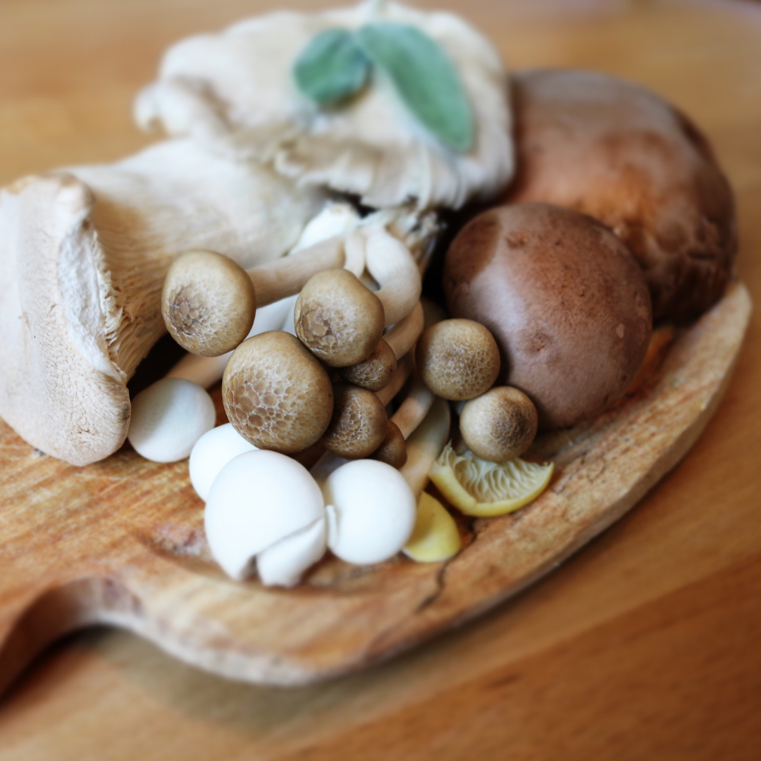 名称未設定のデザイン (40).png