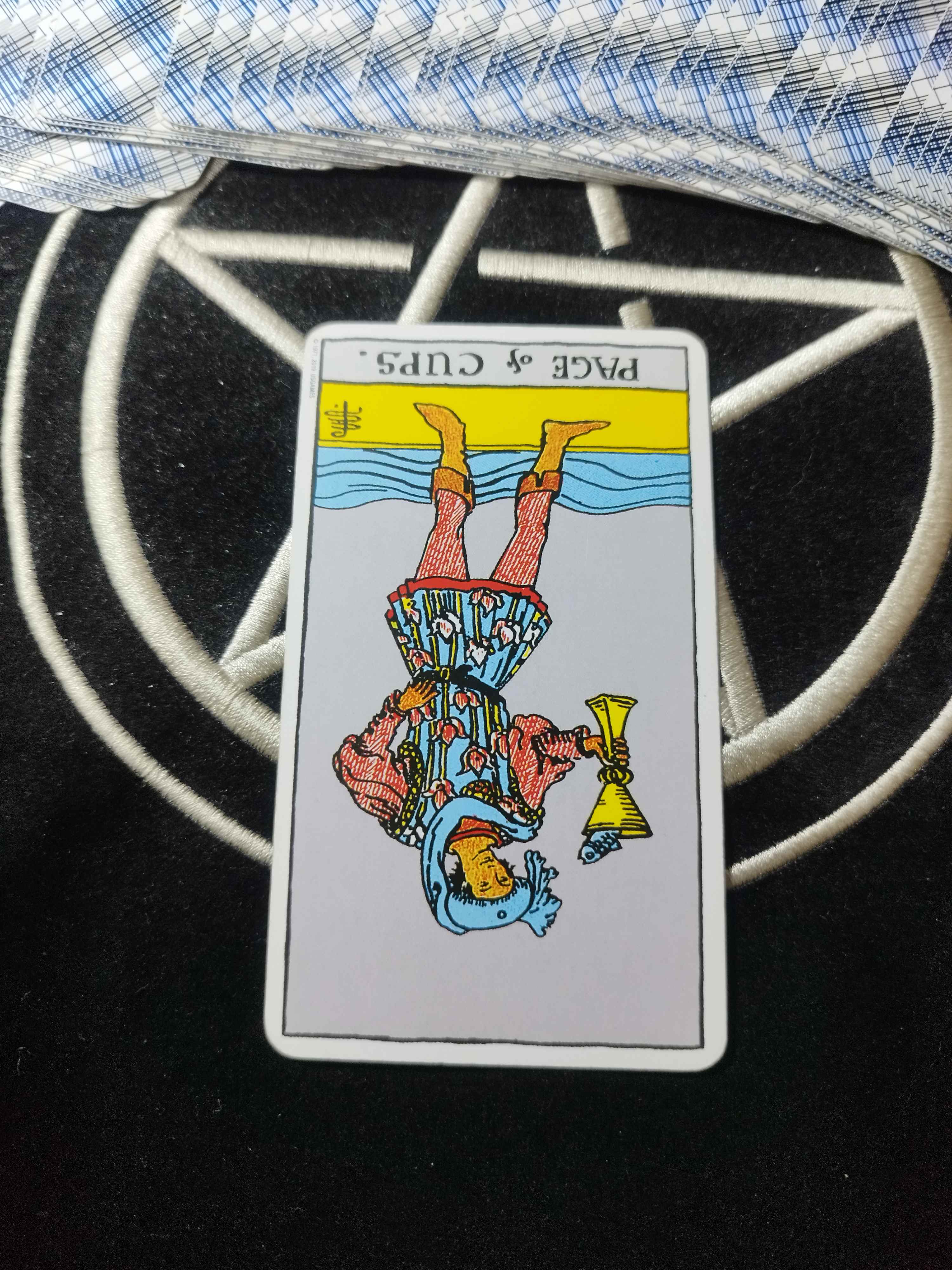 1000029945.jpg