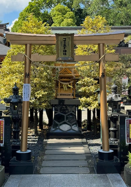 鳥居.jpg