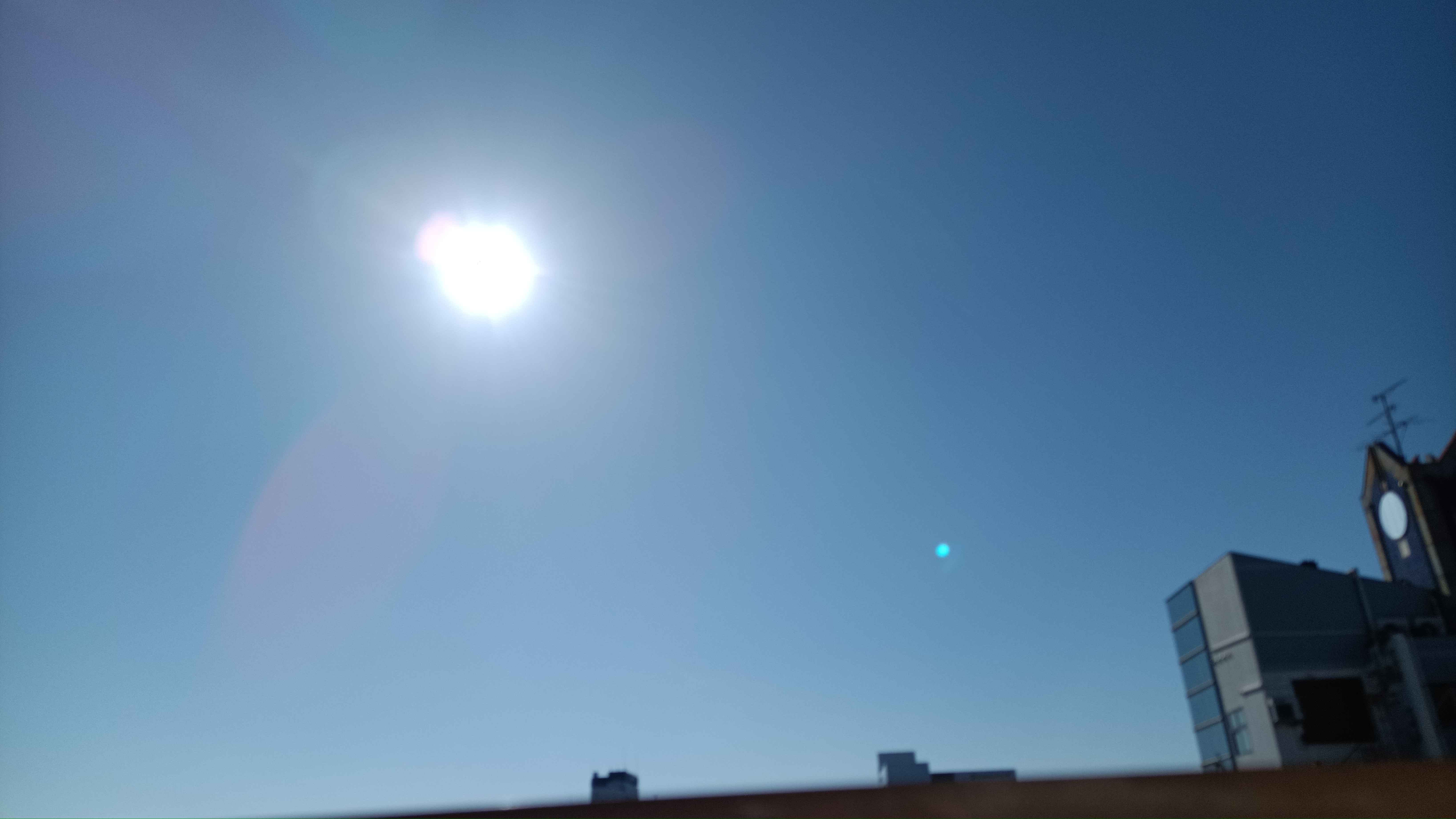 IMG_20240514_073715_232.jpg