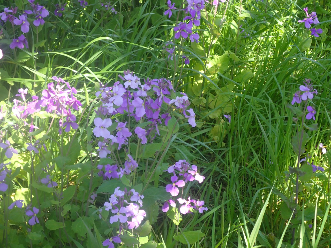 P4050245.JPG