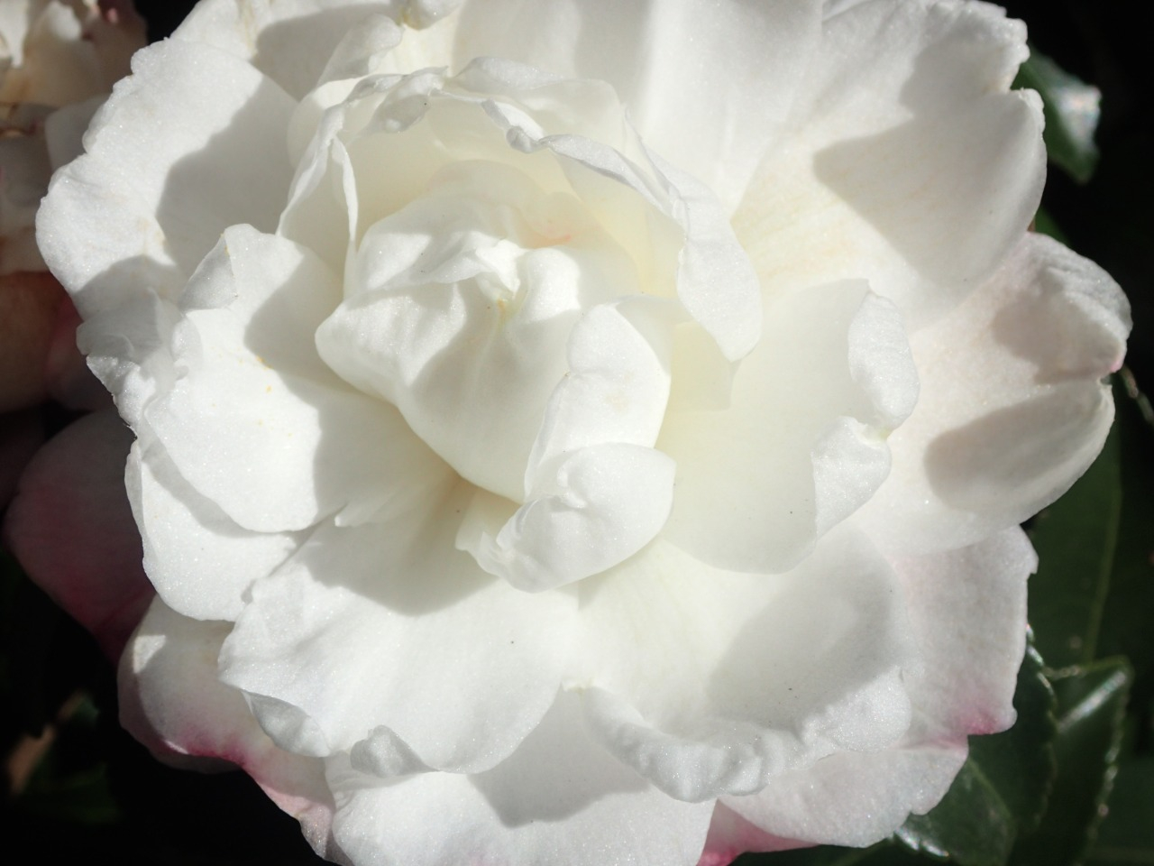 PC220750.JPG