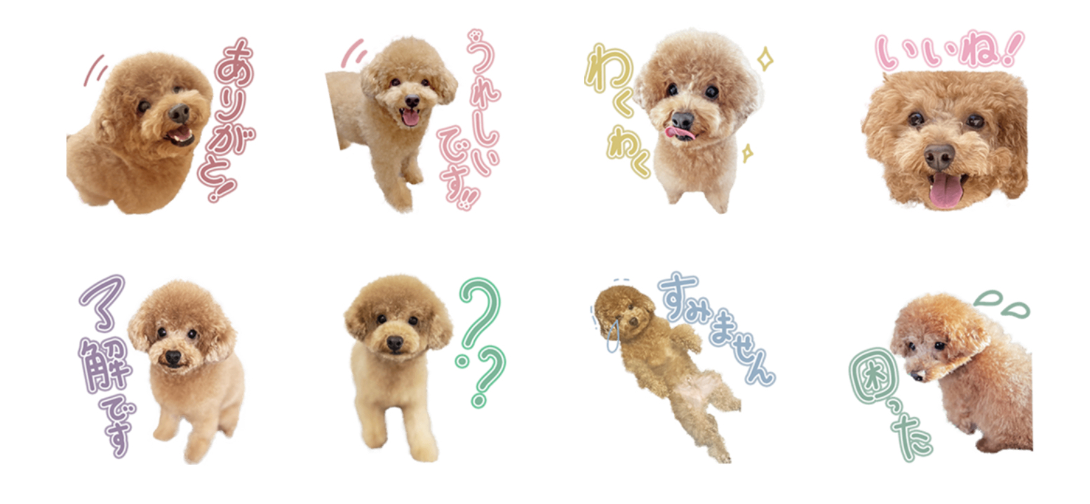02.png