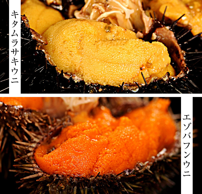 uni-10.jpg