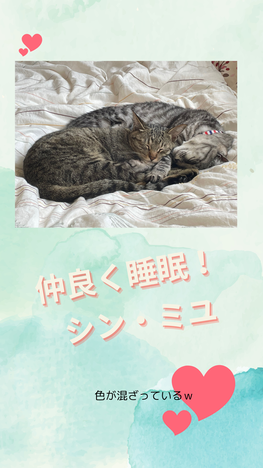 白オレンジ　シンプル　かわいい　ホワイトデー　スマホの壁紙 (3).png