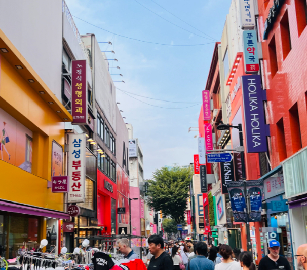 image_2023_9_12 (7).png
