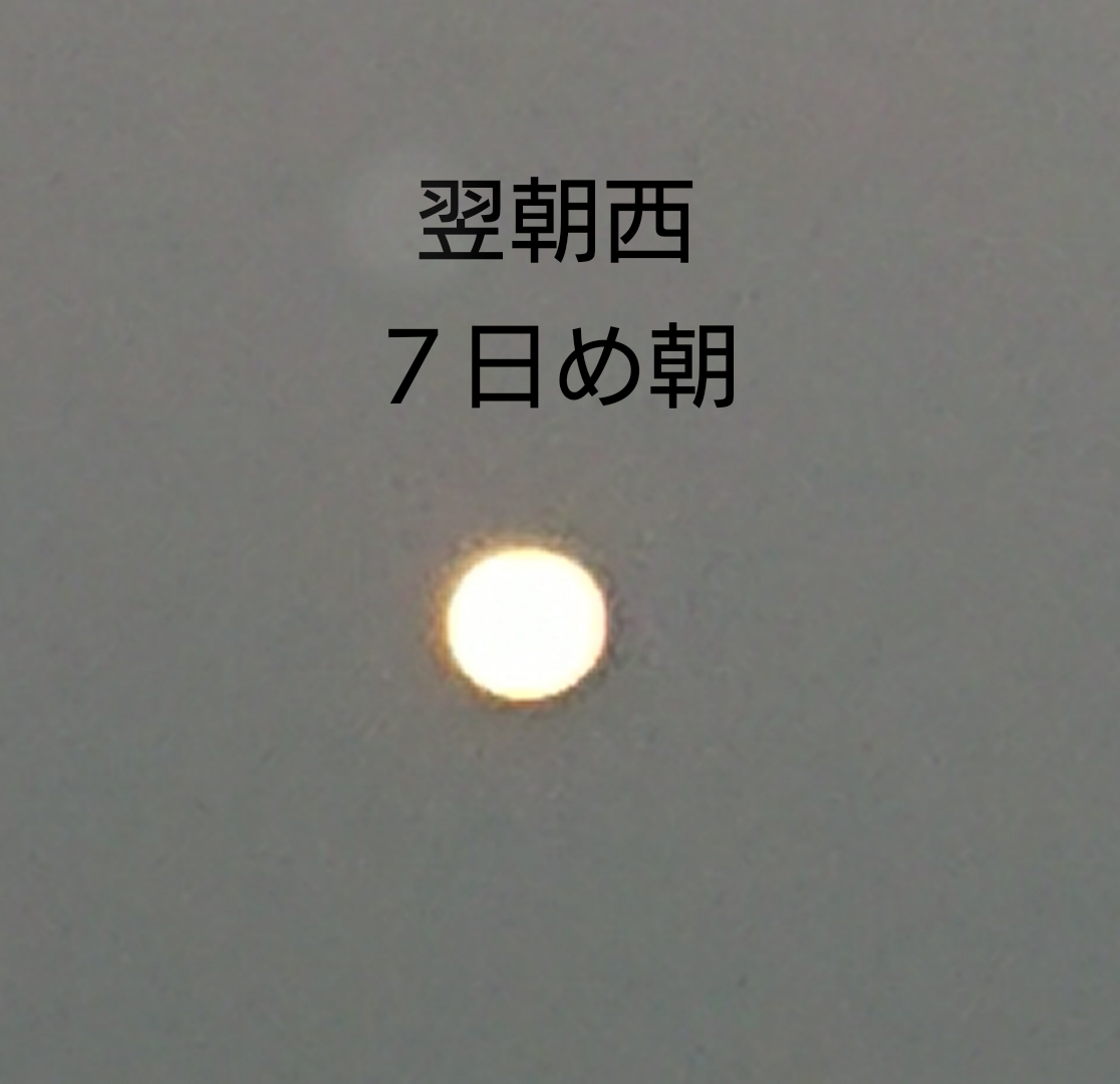 sketch-1667953218065.png