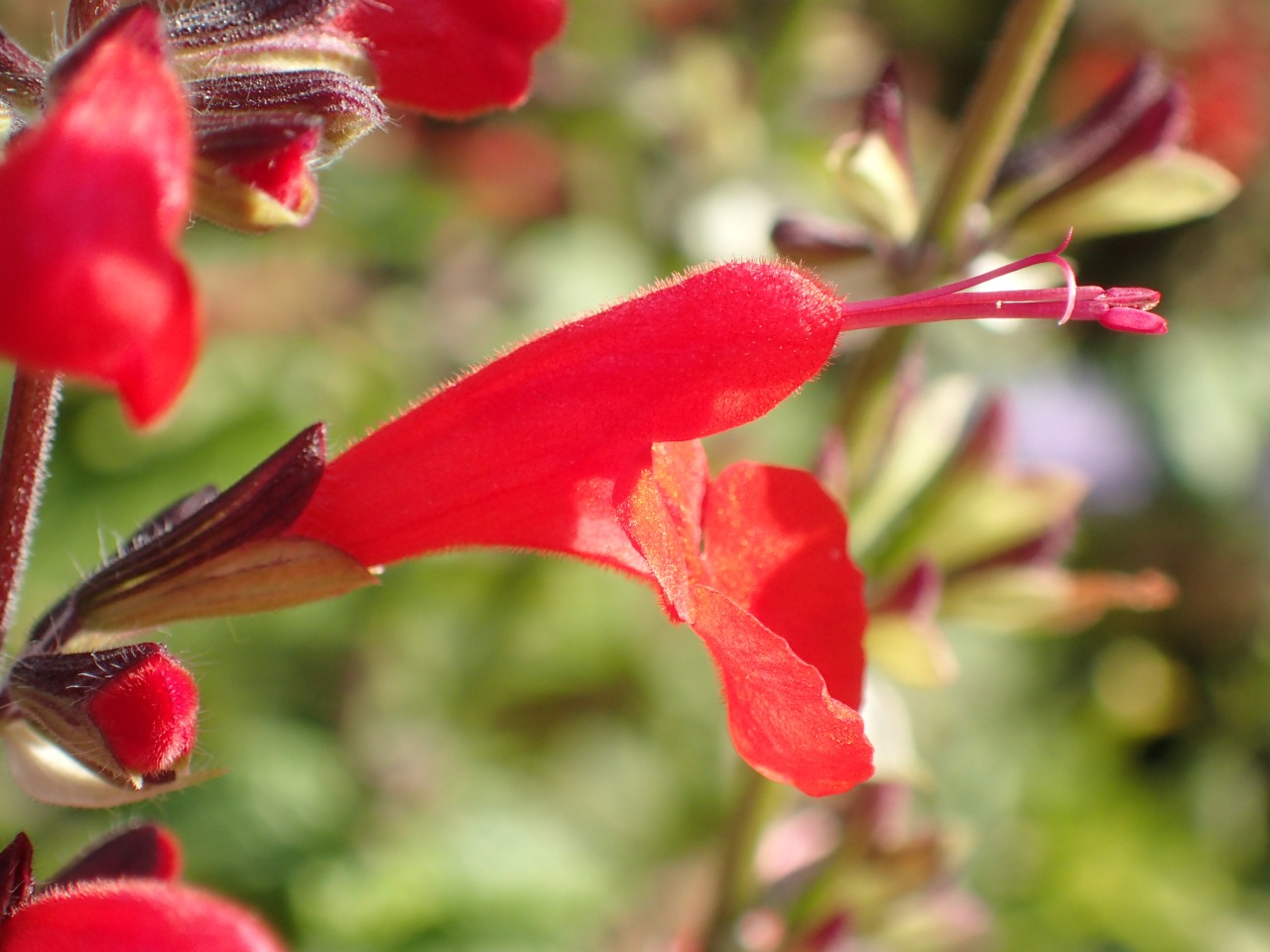 PB160838.JPG