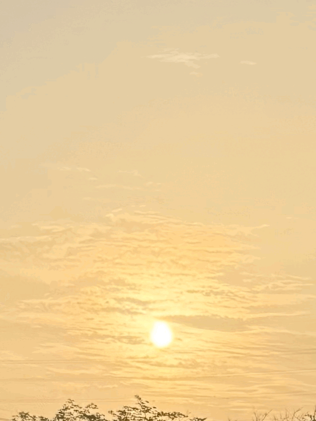 tempImageaKULIh.gif