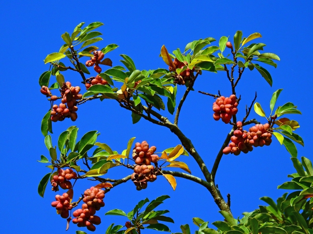25232383_s.jpg