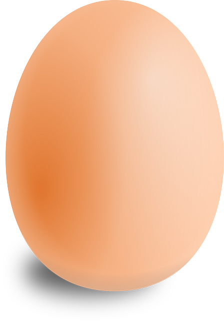egg.png