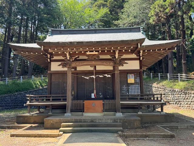 椙山.jpg