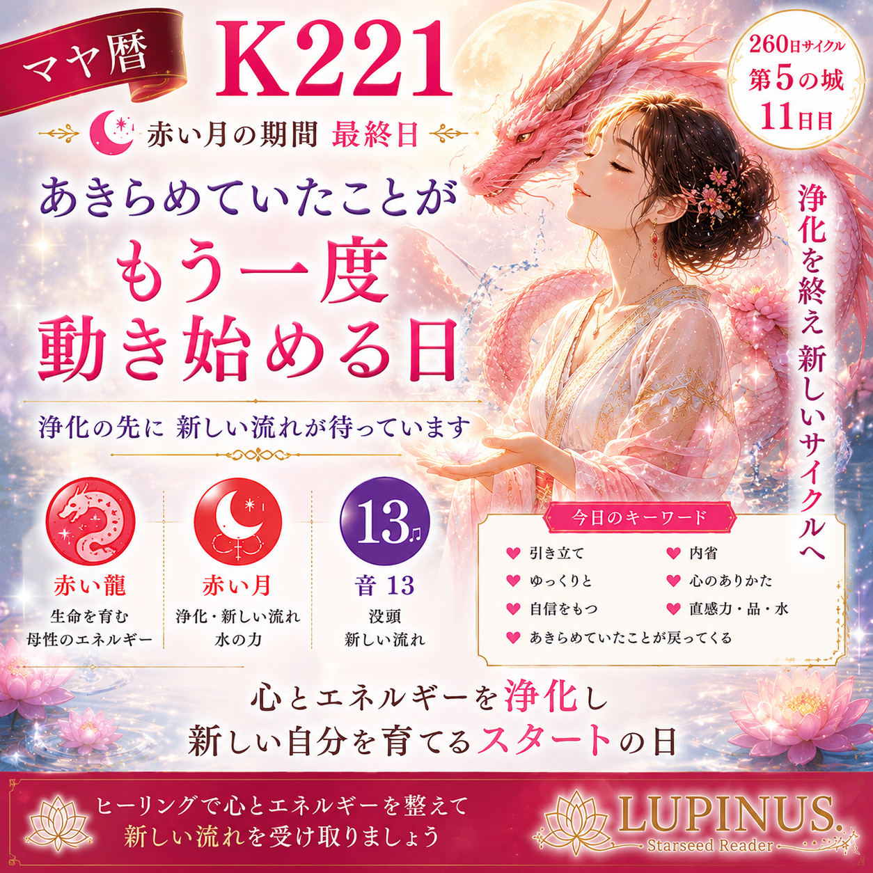 221.png