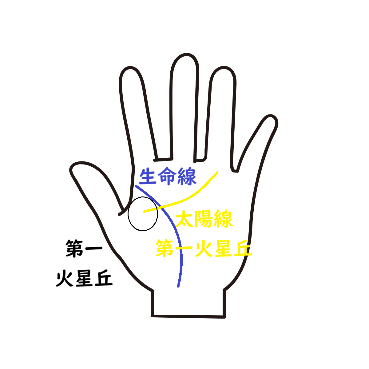 太陽線（第一火星丘）.png