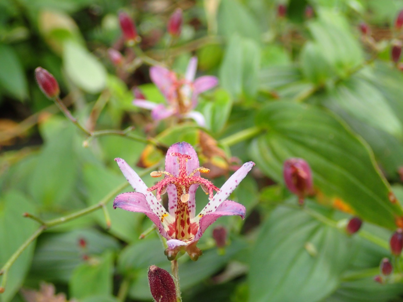 PA120265.JPG