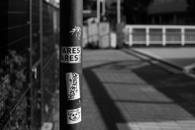 1323191_s.jpg