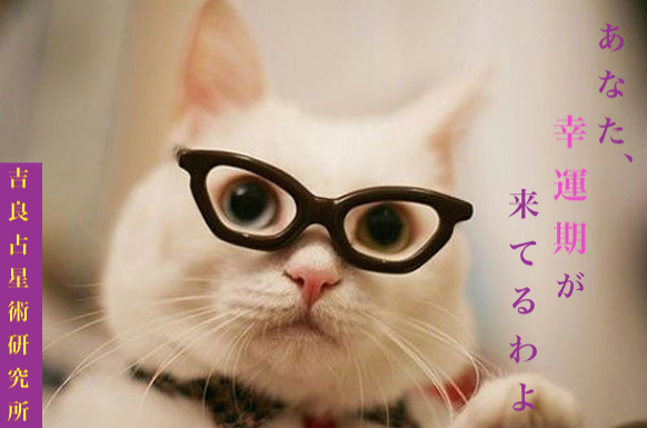 スクリーンショット 2024-12-19 20.27.00.png