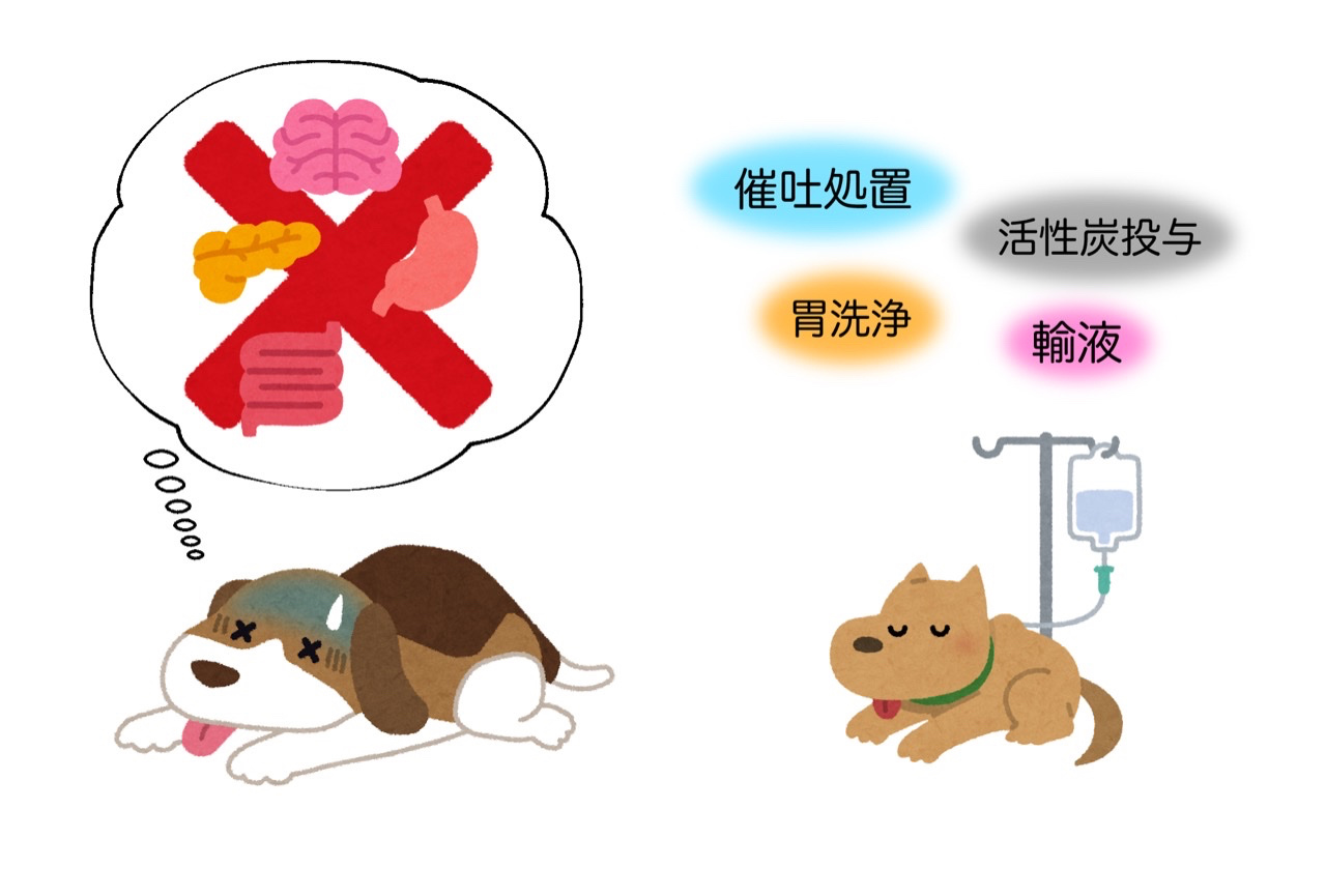4476E170-61CC-46FB-A893-CA30BD75AB76.png