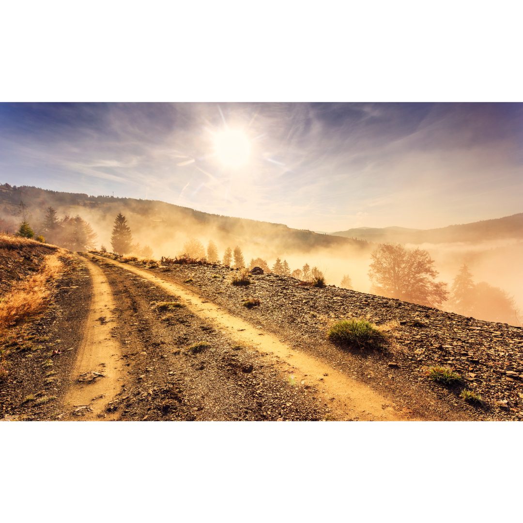 ココナラ ブログ用 (6).png