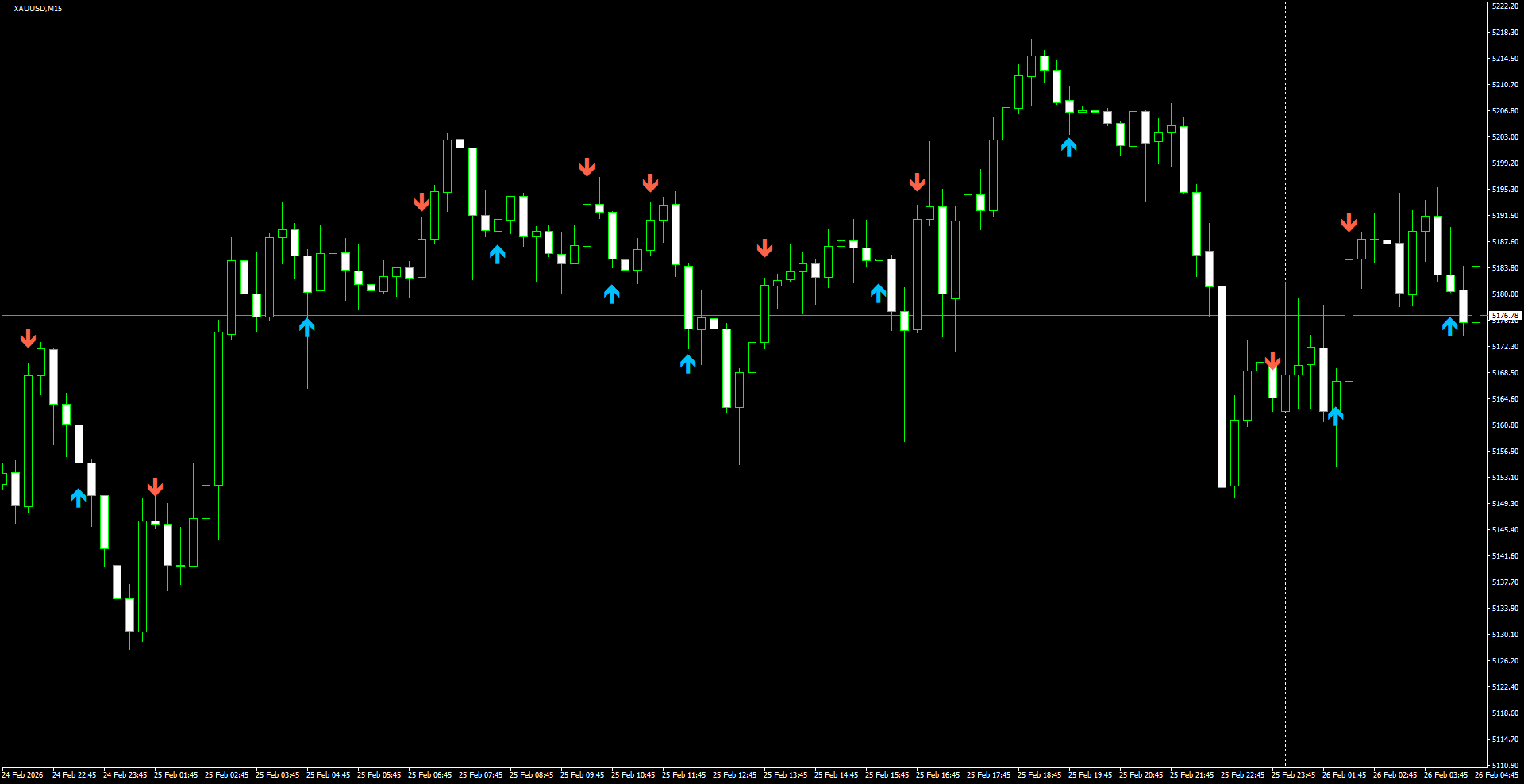 XAUUSD(M15)_2026.02.26_200619.png