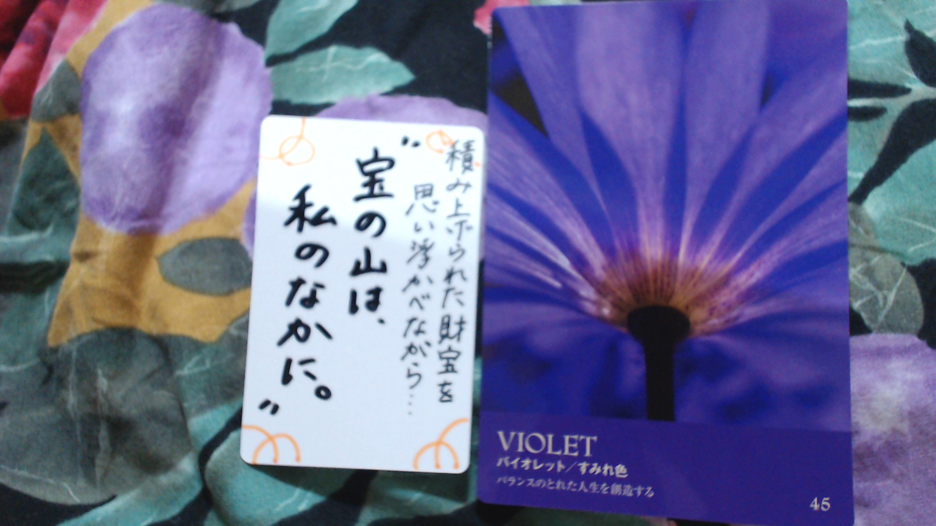 Picture 116.jpg