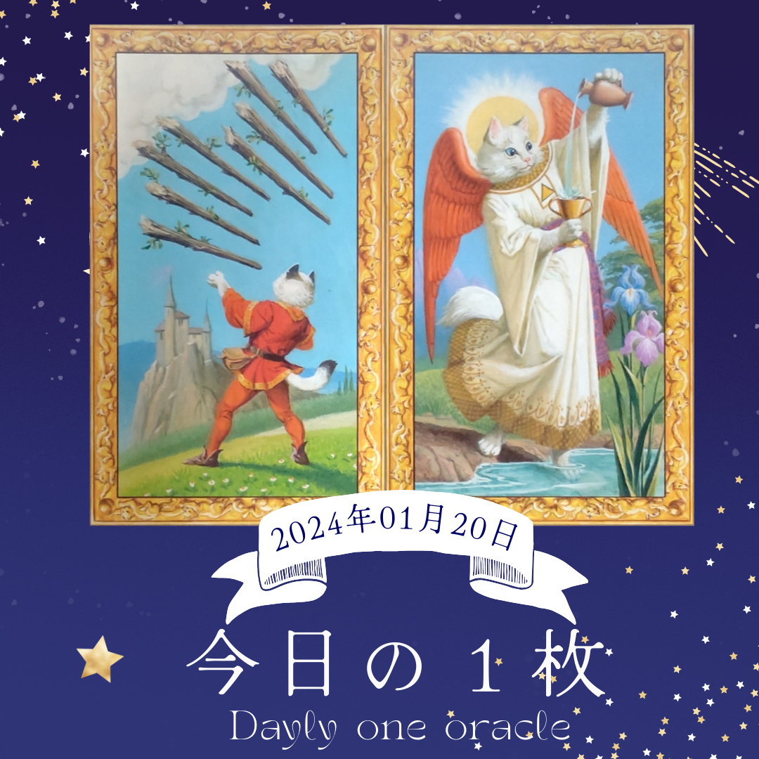 今日の１枚.png