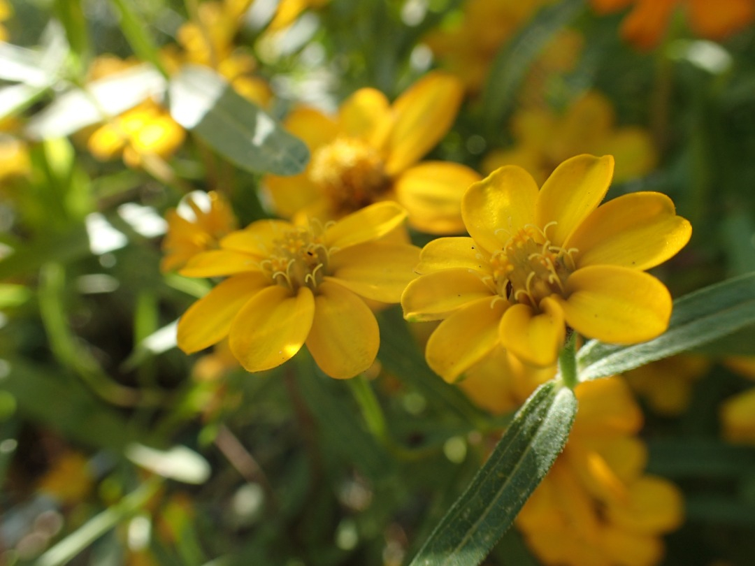 PA100099.JPG