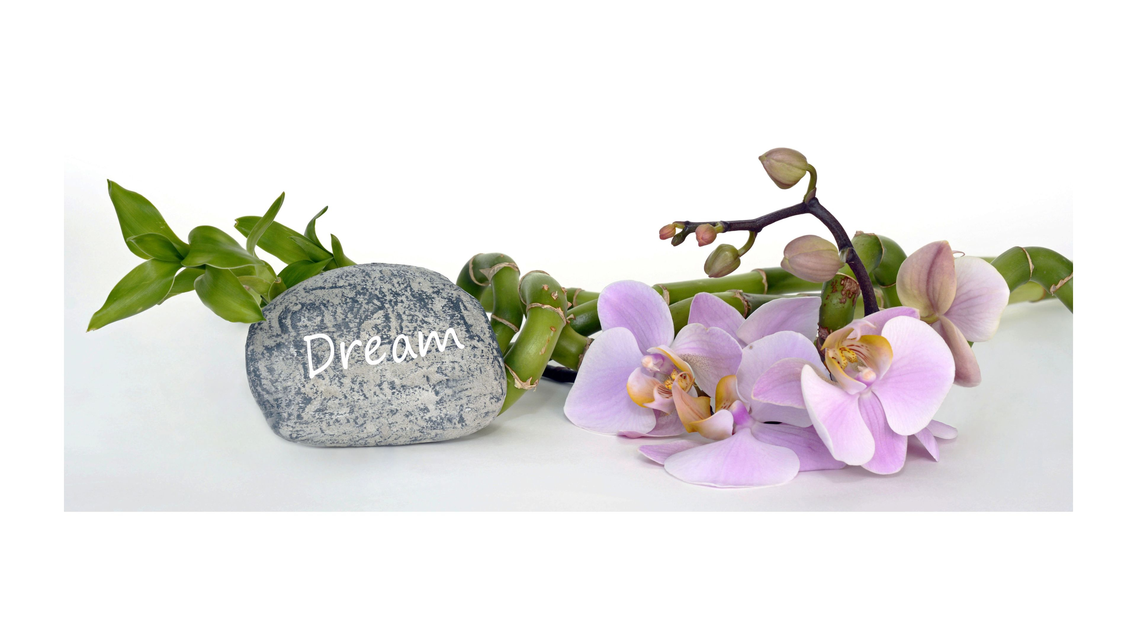 名称未設定 (3840 × 2160 px) (20).jpg