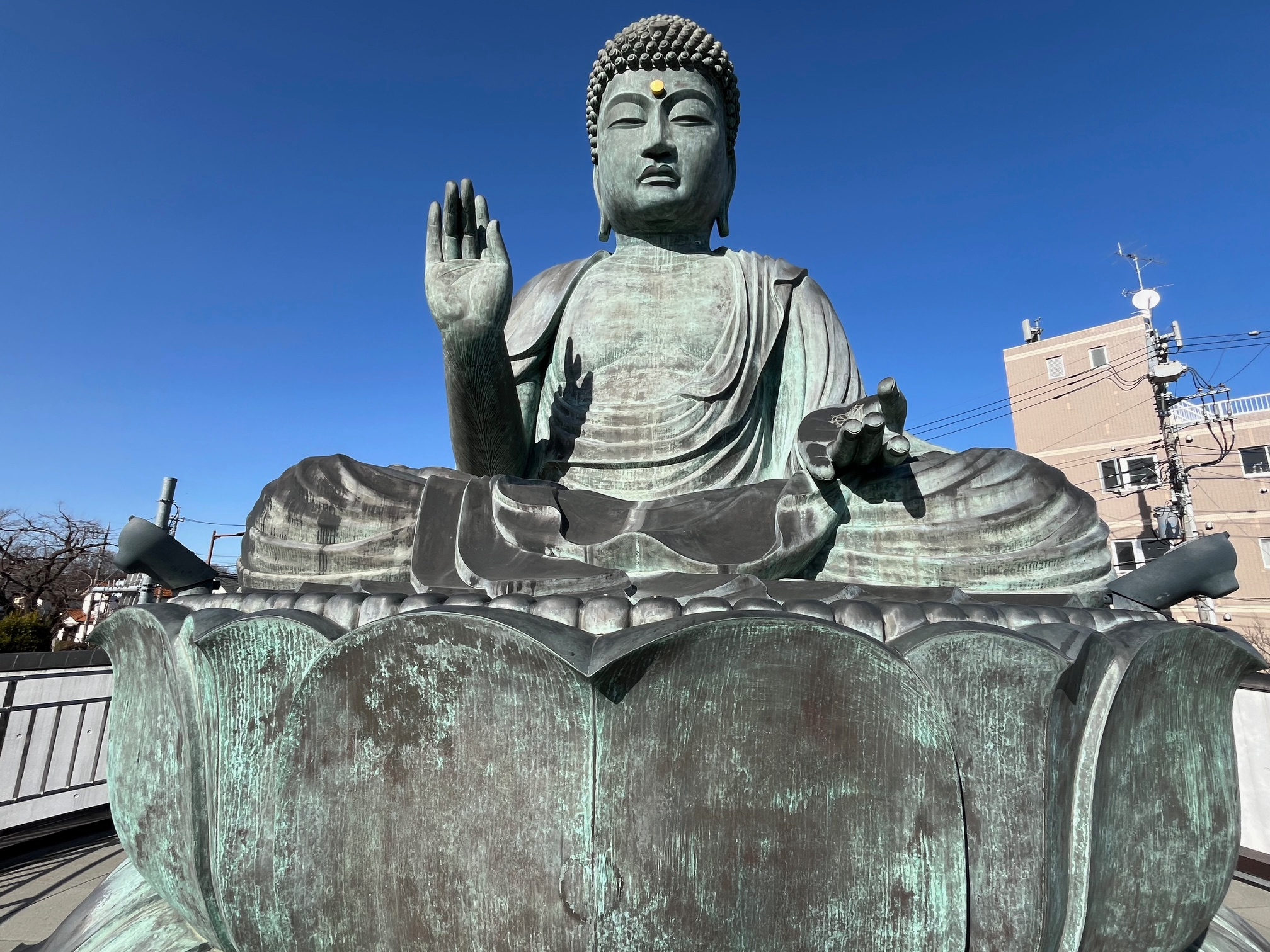 IMG_大仏さん.jpeg