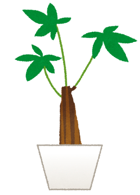 plant_pakira.png