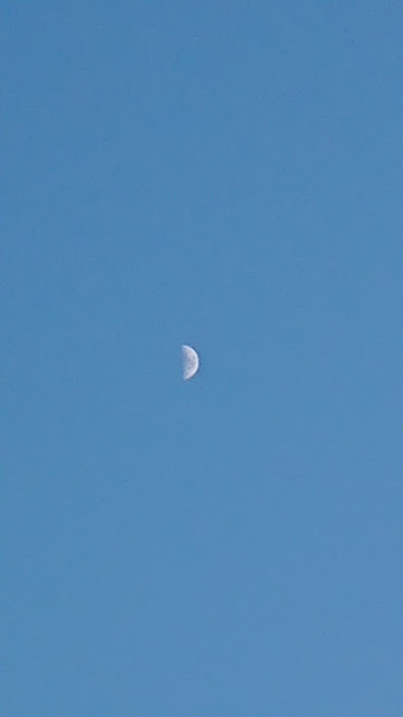 DSC_9616.JPG