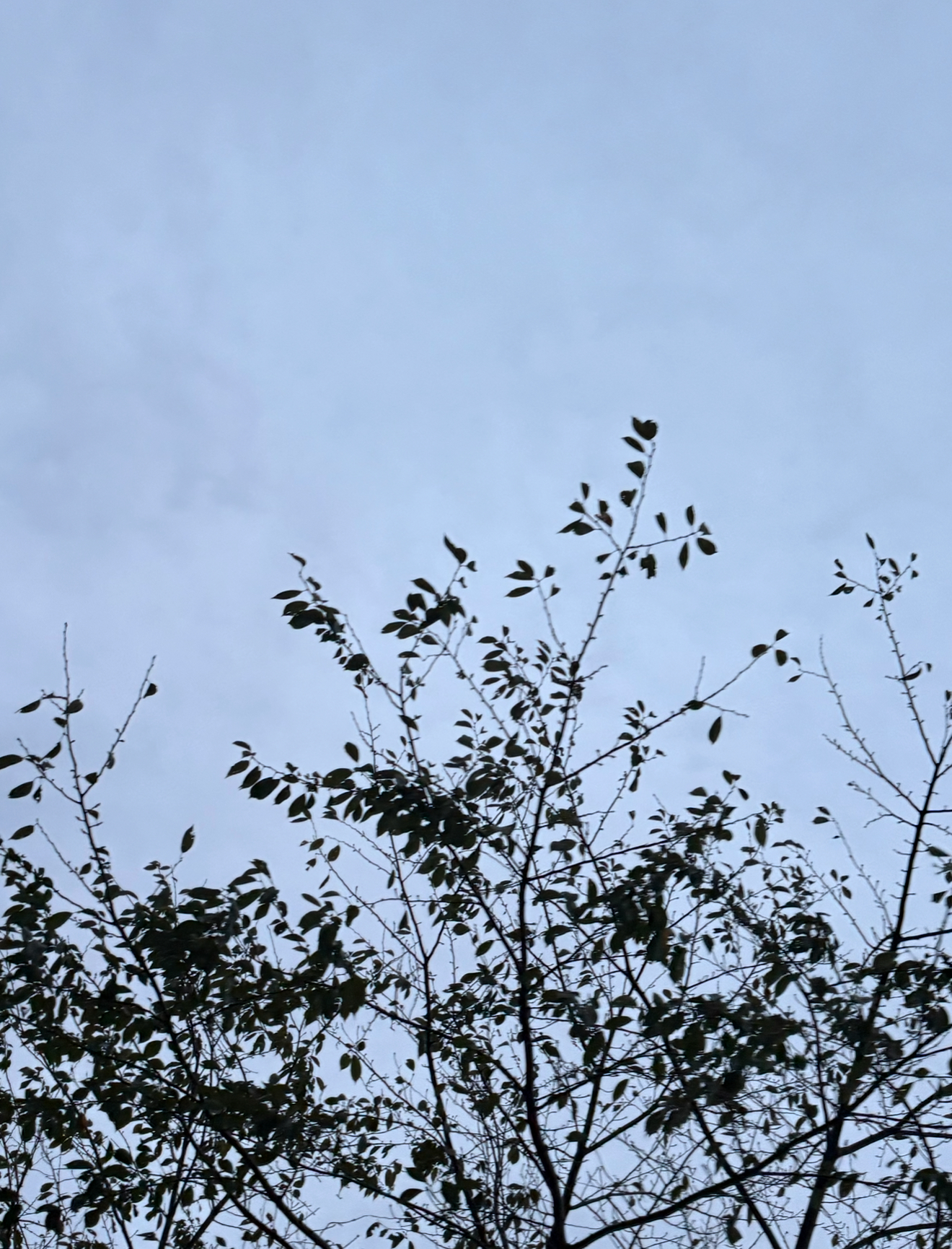 最新の写真を表示 17.png