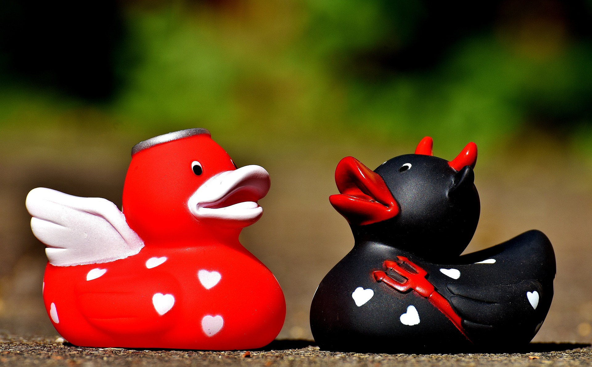 squeaky-ducks-g58238e1cf_1920.jpg