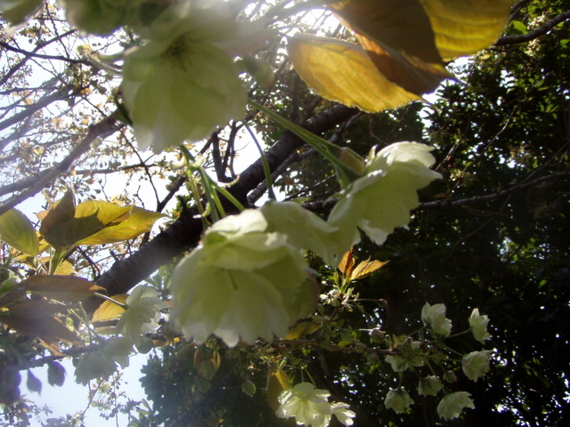 P1010077.JPG
